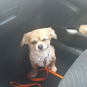 Meet your Posher, Maryellen